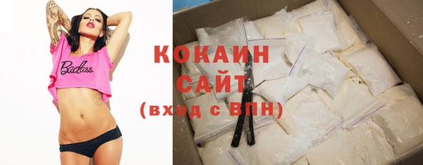 соль ск Абаза