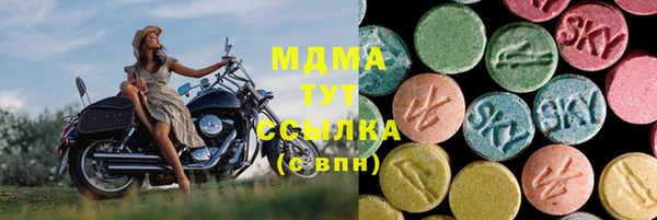 шишки Покачи