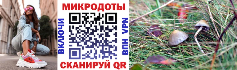 наркотики  Мосальск  Псилоцибиновые грибы MAGIC MUSHROOMS 