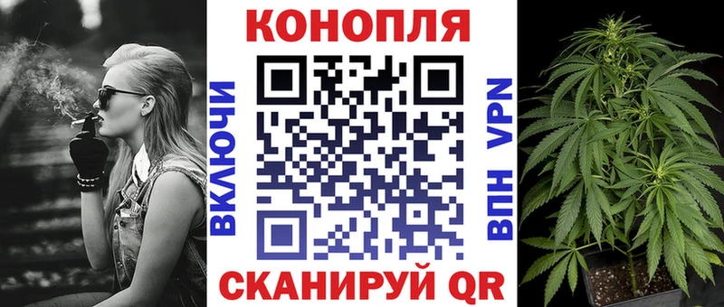 где найти Мосальск Каннабис AK-47